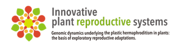 INNOVATIVE PLANT LOGO S