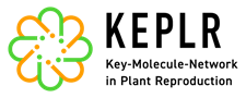 KEPLR LOGO S